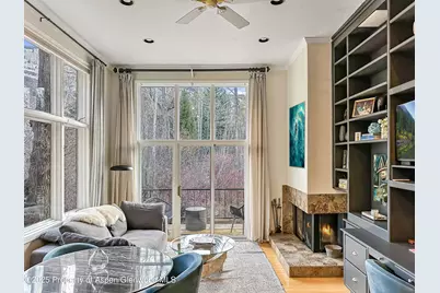 1050 Waters Avenue #9, Aspen, CO 81611 - Photo 3