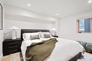 120 Turtle Cove, Aspen, CO 81611 - Photo 15