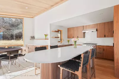 120 Turtle Cove, Aspen, CO 81611 - Photo 5