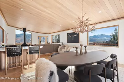 120 Turtle Cove, Aspen, CO 81611 - Photo 9