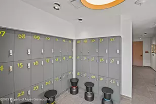 119 Wood Rd, Snowmass Village, CO 81615 - Photo 37