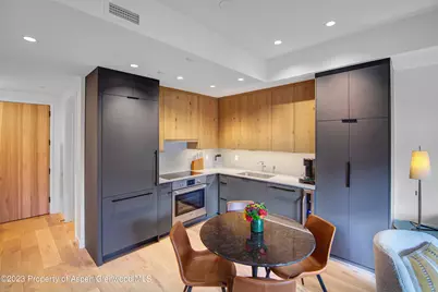 119 Wood Road #107, Snowmass Village, CO 81615 - Photo 3