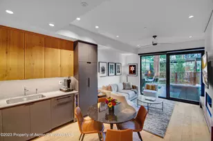 119 Wood Rd, Snowmass Village, CO 81615 - Photo 7