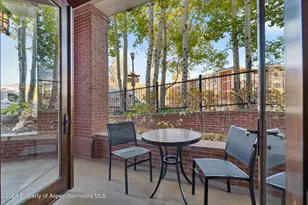 415 E Dean St Unit 3 Week 11, Aspen, CO 81611 - Photo 19