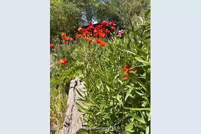 8 Navajo Street, New Castle, CO 81647 - Photo 41