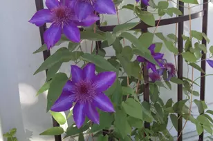 8 Navajo St, New Castle, CO 81647 - Photo 43