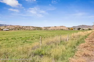 449 Co Rd 223, Rifle, CO 81650 - Photo 41