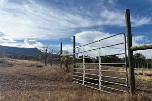 245 Co Rd 338, Parachute, CO 81635 - Photo 35