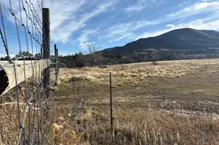 245 Co Rd 338, Parachute, CO 81635 - Photo 47