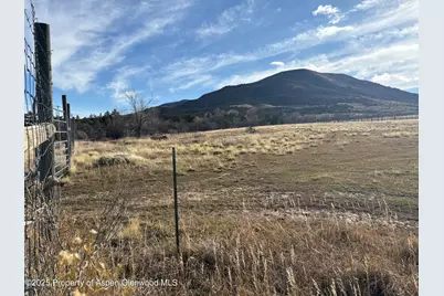 245 County Road 338, Parachute, CO 81635 - Photo 39