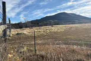 245 Co Rd 338, Parachute, CO 81635 - Photo 39