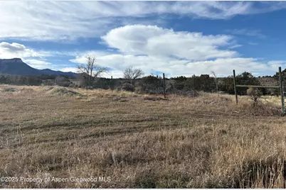 245 County Road 338, Parachute, CO 81635 - Photo 33