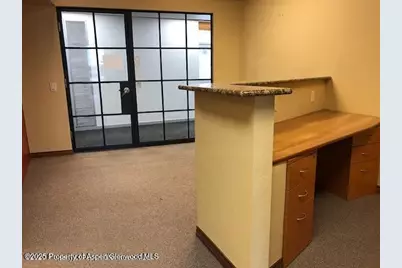 720 E Durant Avenue, Aspen, CO 81611 - Photo 9