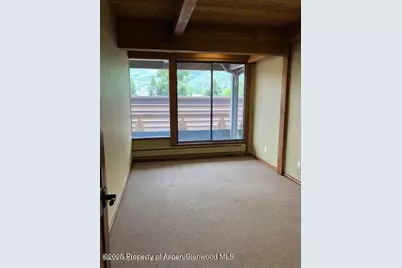 720 E Durant Avenue, Aspen, CO 81611 - Photo 5