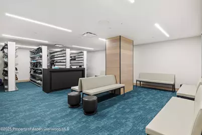 130 Wood Road #530, Snowmass Village, CO 81615 - Photo 21