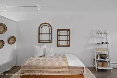 319 Aabc #Unit C, Aspen, CO 81611 - Photo 9