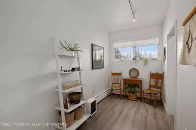 319 Aabc #Unit C, Aspen, CO 81611 - Photo 11