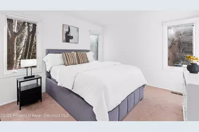 814 W Bleeker Street #C-1, Aspen, CO 81611 - Photo 9