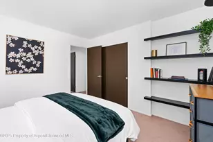 814 W Bleeker St, Aspen, CO 81611 - Photo 15