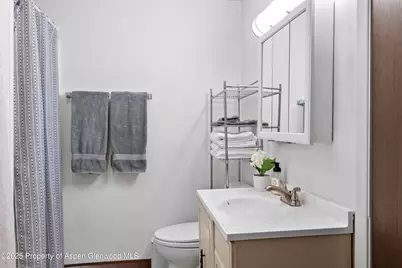 814 W Bleeker Street #C-1, Aspen, CO 81611 - Photo 19