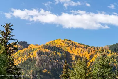 931 Gibson Avenue, Aspen, CO 81611 - Photo 65