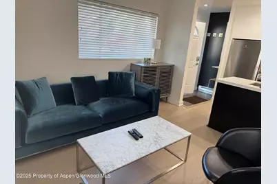 805 E Cooper Avenue #2, Aspen, CO 81611 - Photo 9