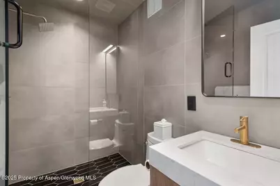 835 E Hyman Avenue #Unit D, Aspen, CO 81611 - Photo 13