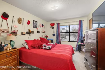 1527 Blake Avenue #207, Glenwood Springs, CO 81601 - Photo 9
