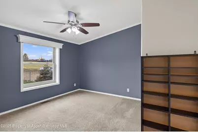 3747 301 County Road, Parachute, CO 81635 - Photo 29