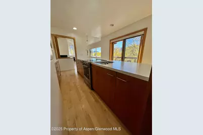 216 E Homestead Drive, Basalt, CO 81621 - Photo 5