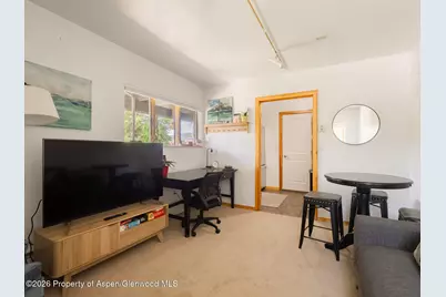 216 E Homestead Drive, Basalt, CO 81621 - Photo 15