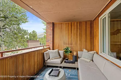 450 S Original Street #8, Aspen, CO 81611 - Photo 7