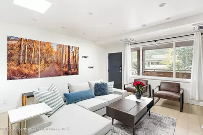 450 S Original Street #8, Aspen, CO 81611 - Photo 3