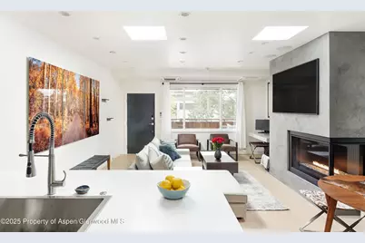 450 S Original Street #8, Aspen, CO 81611 - Photo 9
