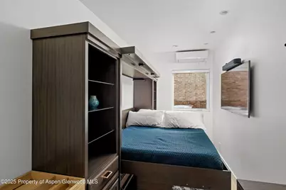 450 S Original Street #8, Aspen, CO 81611 - Photo 15