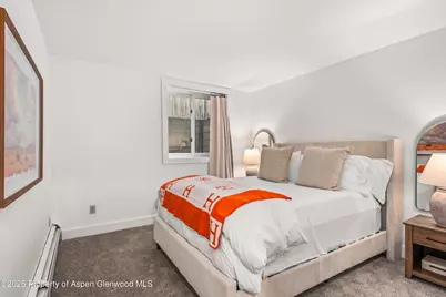 406 W Smuggler Street, Aspen, CO 81611 - Photo 27