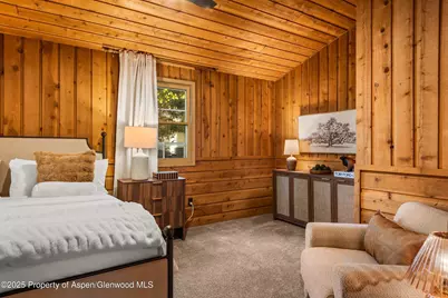 406 W Smuggler Street, Aspen, CO 81611 - Photo 19