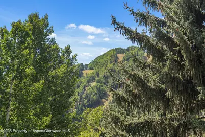 500 W Francis Street, Aspen, CO 81611 - Photo 37