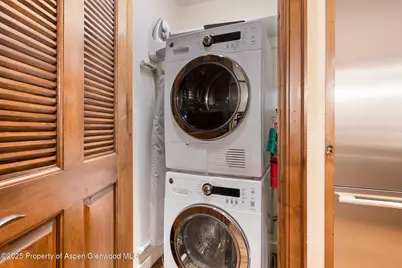 415 E Dean St, Unit 4, Weeks 5 & 6, Aspen, CO 81611 - Photo 23