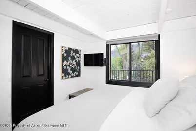 901 E Hyman Avenue #4, Aspen, CO 81611 - Photo 13