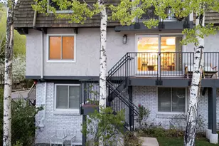 901 E Hyman Ave, Aspen, CO 81611 - Photo 27