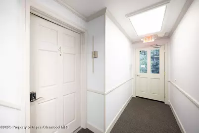 901 E Hyman Avenue #4, Aspen, CO 81611 - Photo 19