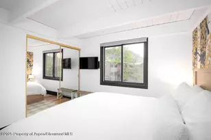 901 E Hyman Ave, Aspen, CO 81611 - Photo 7