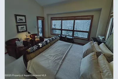 302 Roaring Fork Drive, Aspen, CO 81611 - Photo 13