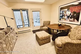 302 Roaring Fork Dr, Aspen, CO 81611 - Photo 23