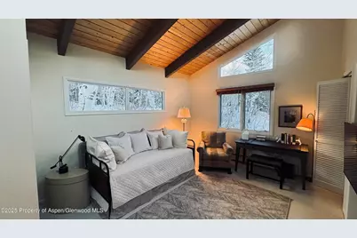 302 Roaring Fork Drive, Aspen, CO 81611 - Photo 19