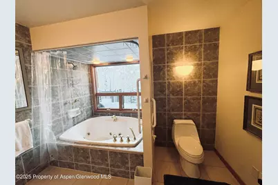 302 Roaring Fork Drive, Aspen, CO 81611 - Photo 15