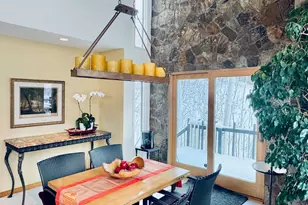 302 Roaring Fork Dr, Aspen, CO 81611 - Photo 11