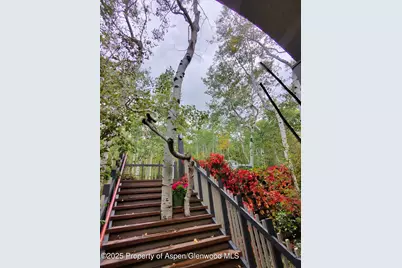 302 Roaring Fork Drive, Aspen, CO 81611 - Photo 27