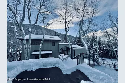302 Roaring Fork Drive, Aspen, CO 81611 - Photo 9